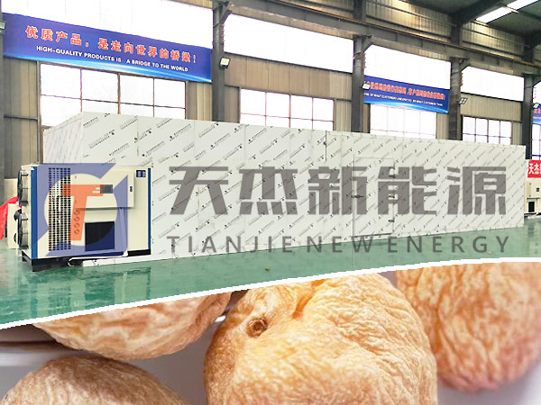 黃杏干烘干機