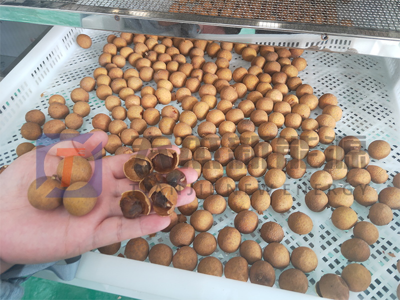 天杰新能源?；葜蔟堁酆娓蓹C(jī)開機(jī)大吉